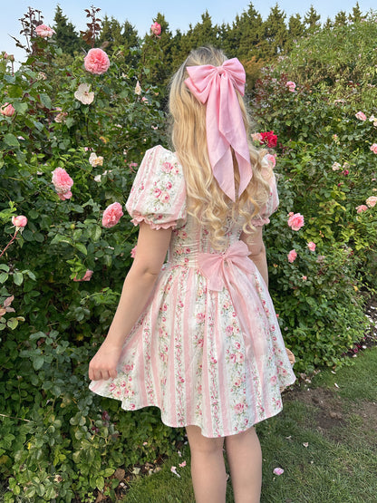 Briar Rose Mini Dress Preorder