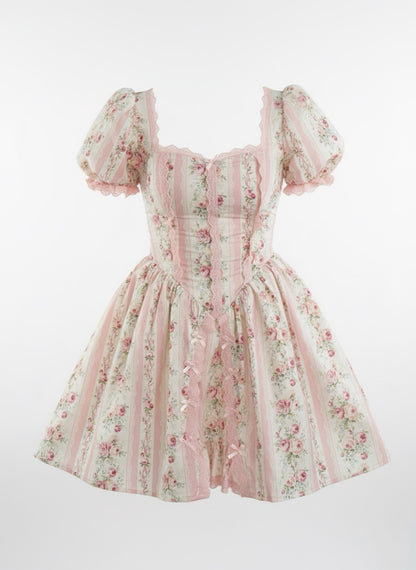 Briar Rose Mini Dress Preorder