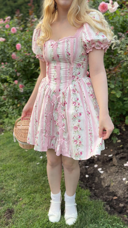 Briar Rose Mini Dress Preorder